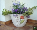 thn_kvetiny (10).jpg